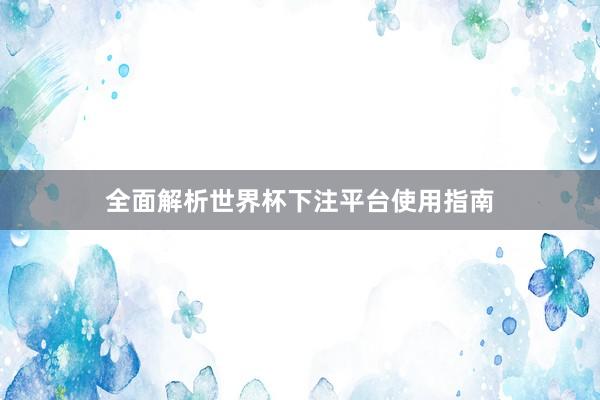 全面解析世界杯下注平台使用指南